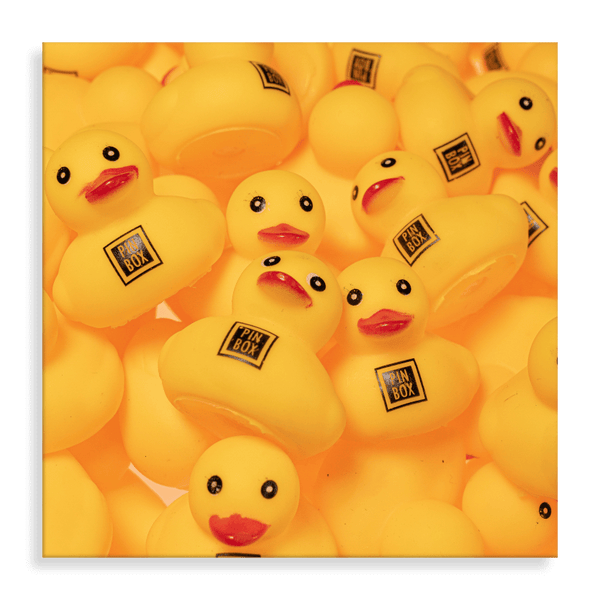 Pin Box Rubber Duck